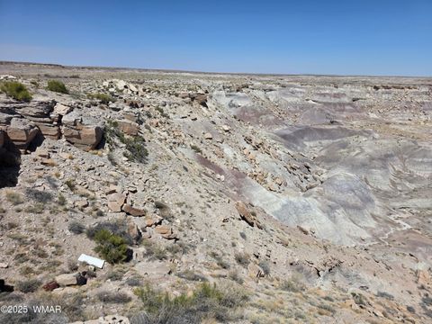 Tiny photo for 9483 Eagle Drive, Holbrook, AZ 86025 (MLS # 257392)