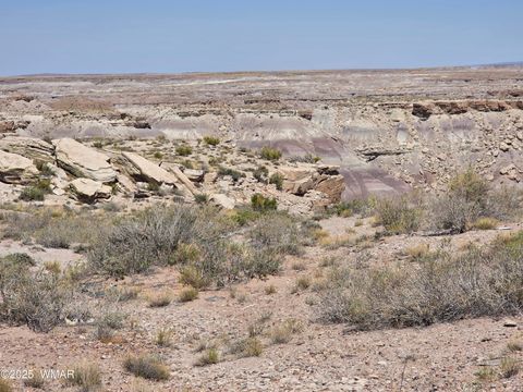 Tiny photo for 9483 Eagle Drive, Holbrook, AZ 86025 (MLS # 257392)