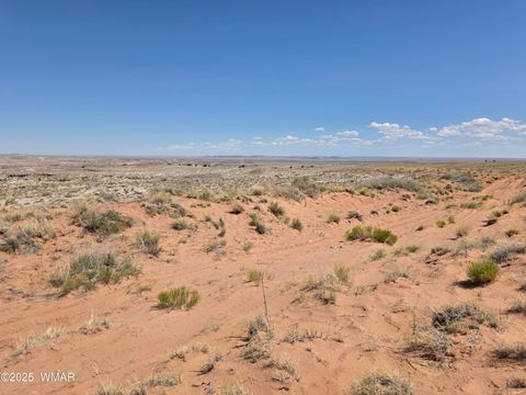 Tiny photo for 9483 Eagle Drive, Holbrook, AZ 86025 (MLS # 257392)