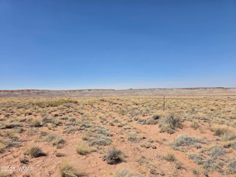 Tiny photo for 9483 Eagle Drive, Holbrook, AZ 86025 (MLS # 257392)