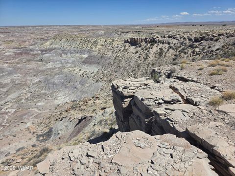 Tiny photo for 9483 Eagle Drive, Holbrook, AZ 86025 (MLS # 257392)