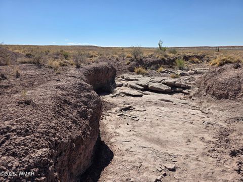 Tiny photo for 9483 Eagle Drive, Holbrook, AZ 86025 (MLS # 257392)