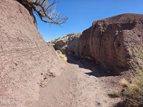 Tiny photo for 9483 Eagle Drive, Holbrook, AZ 86025 (MLS # 257392)