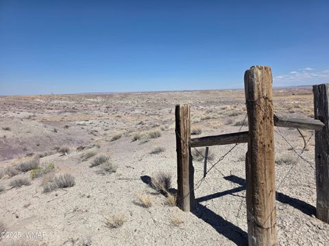 Tiny photo for 9483 Eagle Drive, Holbrook, AZ 86025 (MLS # 257392)