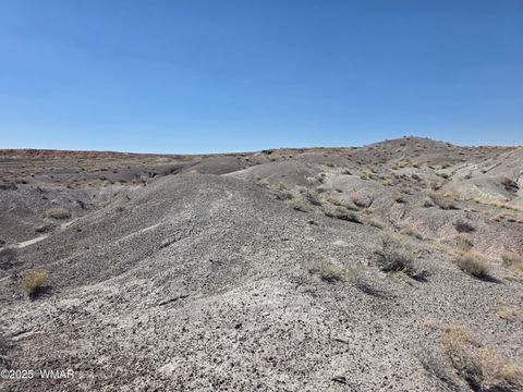 Tiny photo for 9483 Eagle Drive, Holbrook, AZ 86025 (MLS # 257392)