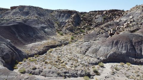 Tiny photo for 9483 Eagle Drive, Holbrook, AZ 86025 (MLS # 257392)