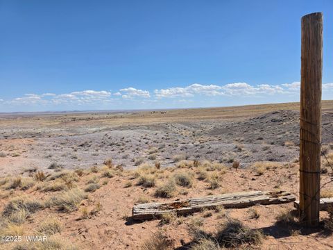 Tiny photo for 9483 Eagle Drive, Holbrook, AZ 86025 (MLS # 257392)