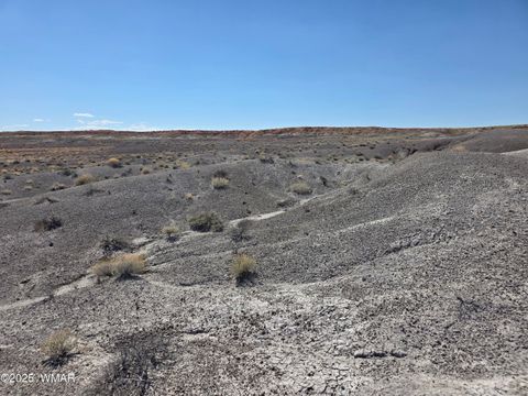 Tiny photo for 9483 Eagle Drive, Holbrook, AZ 86025 (MLS # 257392)