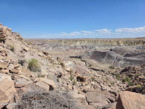 Tiny photo for 9483 Eagle Drive, Holbrook, AZ 86025 (MLS # 257392)