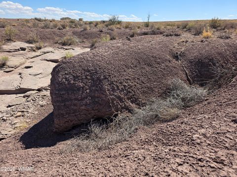 Tiny photo for 9483 Eagle Drive, Holbrook, AZ 86025 (MLS # 257392)