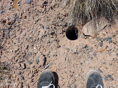 Tiny photo for 9483 Eagle Drive, Holbrook, AZ 86025 (MLS # 257392)