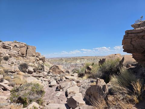 Tiny photo for 9483 Eagle Drive, Holbrook, AZ 86025 (MLS # 257392)