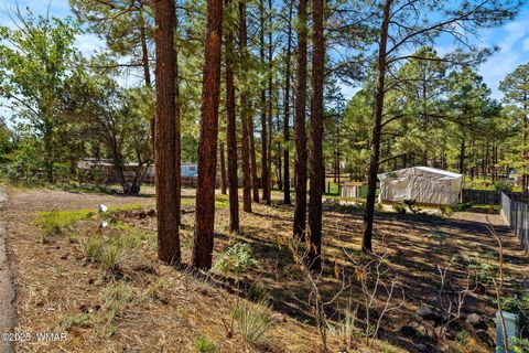 Tiny photo for 1860 N 22Nd Drive, Show Low, AZ 85901 (MLS # 258215)