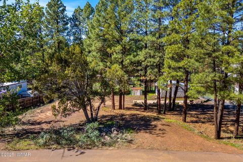 Tiny photo for 1860 N 22Nd Drive, Show Low, AZ 85901 (MLS # 258215)