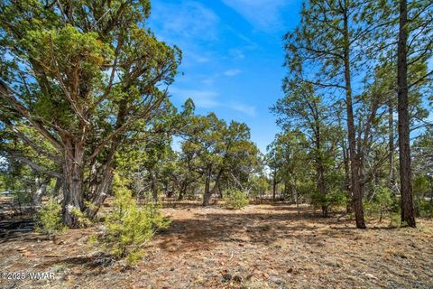 Tiny photo for 1760 S Monkshood Road, Show Low, AZ 85901 (MLS # 257743)
