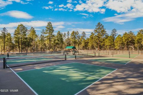 Tiny photo for 1760 S Monkshood Road, Show Low, AZ 85901 (MLS # 257743)