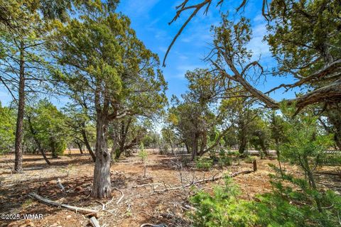 Tiny photo for 1760 S Monkshood Road, Show Low, AZ 85901 (MLS # 257743)
