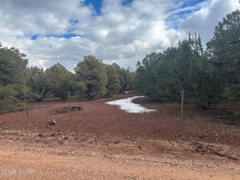Tiny photo for Lot 86 Ricks Road, Vernon, AZ 85940 (MLS # 259781)