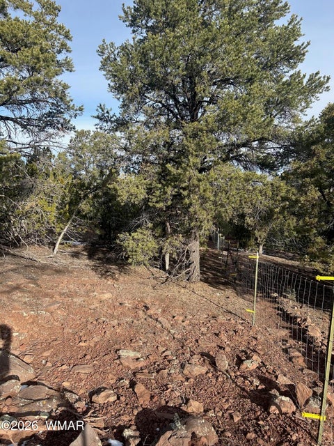 Tiny photo for Lot 86 Ricks Road, Vernon, AZ 85940 (MLS # 259781)