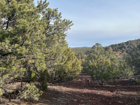 Tiny photo for Lot 86 Ricks Road, Vernon, AZ 85940 (MLS # 259781)