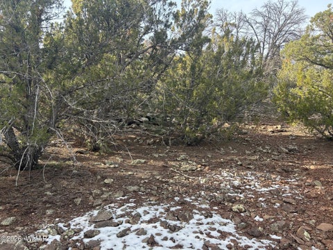 Tiny photo for Lot 86 Ricks Road, Vernon, AZ 85940 (MLS # 259781)