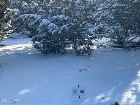 Tiny photo for Lot 86 Ricks Road, Vernon, AZ 85940 (MLS # 259781)