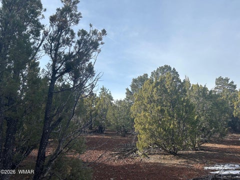 Tiny photo for Lot 86 Ricks Road, Vernon, AZ 85940 (MLS # 259781)