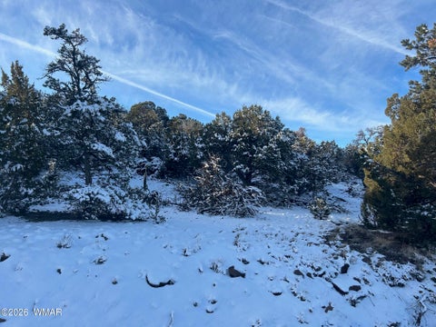Tiny photo for Lot 86 Ricks Road, Vernon, AZ 85940 (MLS # 259781)