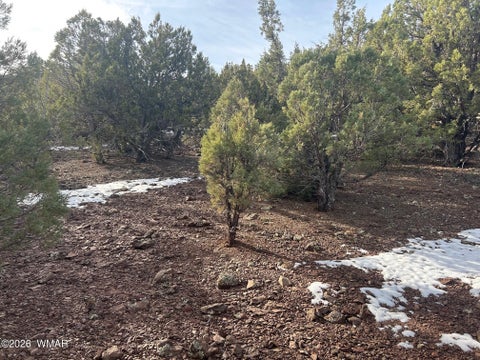 Tiny photo for Lot 86 Ricks Road, Vernon, AZ 85940 (MLS # 259781)
