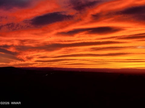 Tiny photo for Lot 86 Ricks Road, Vernon, AZ 85940 (MLS # 259781)