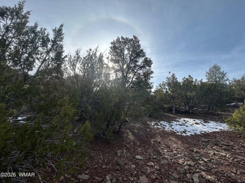Tiny photo for Lot 86 Ricks Road, Vernon, AZ 85940 (MLS # 259781)