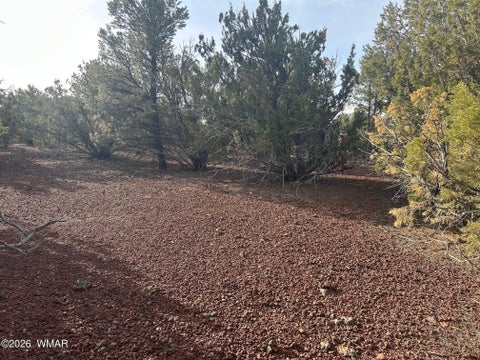 Tiny photo for Lot 86 Ricks Road, Vernon, AZ 85940 (MLS # 259781)