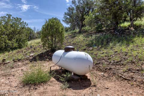 Tiny photo for 455 Freedom Lane, Taylor, AZ 85939 (MLS # 262871)
