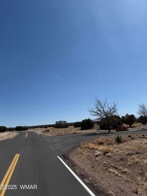 Tiny photo for TBD Del Rio Drive, Show Low, AZ 85901 (MLS # 254812)