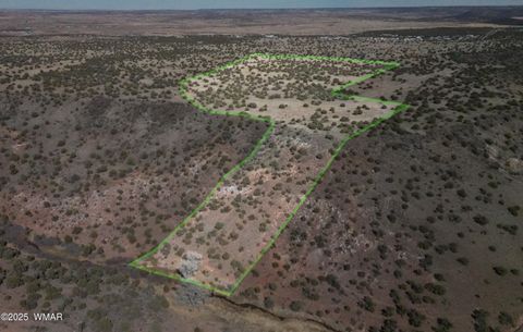 Tiny photo for TBD Del Rio Drive, Show Low, AZ 85901 (MLS # 254812)