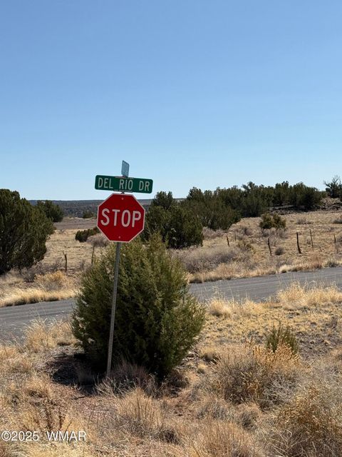 Tiny photo for TBD Del Rio Drive, Show Low, AZ 85901 (MLS # 254812)