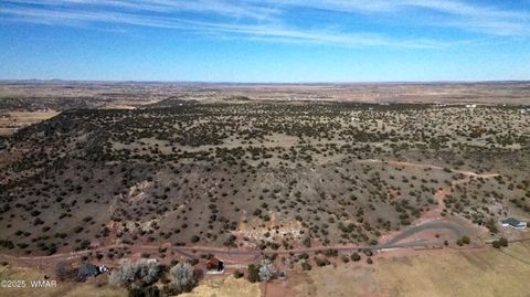 Tiny photo for TBD Del Rio Drive, Show Low, AZ 85901 (MLS # 254812)