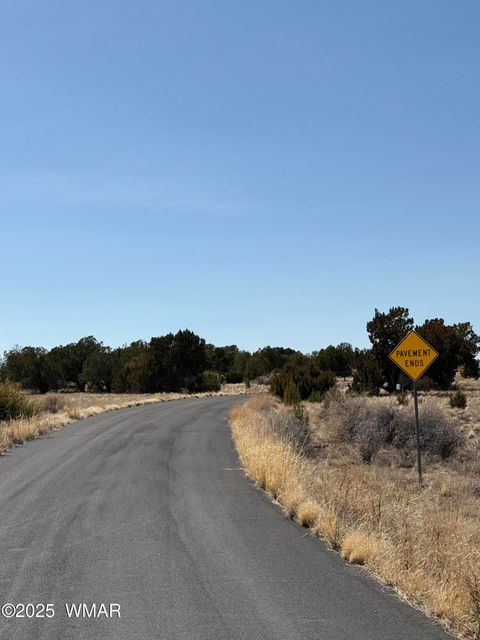 Tiny photo for TBD Del Rio Drive, Show Low, AZ 85901 (MLS # 254812)