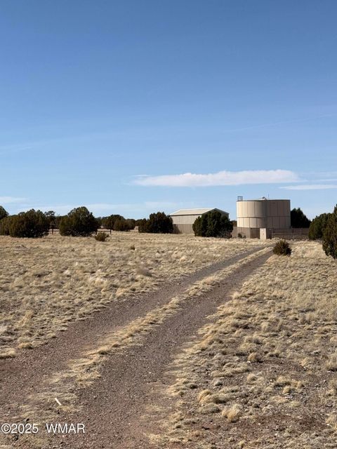 Tiny photo for TBD Del Rio Drive, Show Low, AZ 85901 (MLS # 254812)