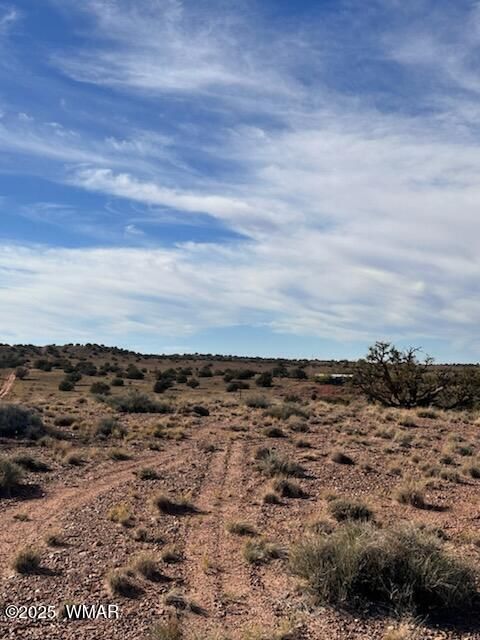 Tiny photo for 9912 Uttecht Trail, Snowflake, AZ 85937 (MLS # 258644)