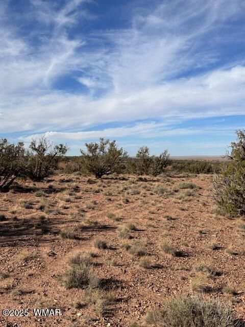 Tiny photo for 9912 Uttecht Trail, Snowflake, AZ 85937 (MLS # 258644)