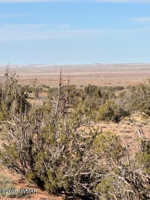 Photo of 9912 Uttecht Trail, Snowflake, AZ 85937 (MLS # 258644)