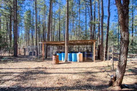 Tiny photo for 146 Deer Run Road, Lakeside, AZ 85929 (MLS # 258847)