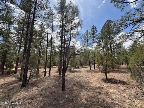 Tiny photo for 3260 W Black Oak Loop, Show Low, AZ 85901 (MLS # 255885)