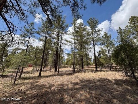 Tiny photo for 3260 W Black Oak Loop, Show Low, AZ 85901 (MLS # 255885)