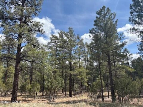 Tiny photo for 3260 W Black Oak Loop, Show Low, AZ 85901 (MLS # 255885)