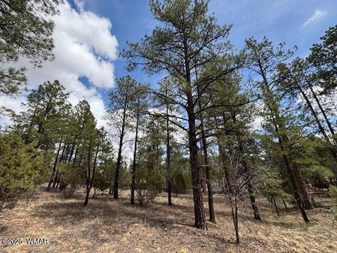 Tiny photo for 3260 W Black Oak Loop, Show Low, AZ 85901 (MLS # 255885)