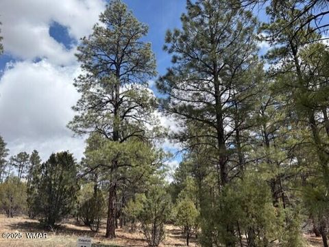 Tiny photo for 3260 W Black Oak Loop, Show Low, AZ 85901 (MLS # 255885)