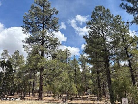 Photo of 3260 W Black Oak Loop, Show Low, AZ 85901 (MLS # 255885)