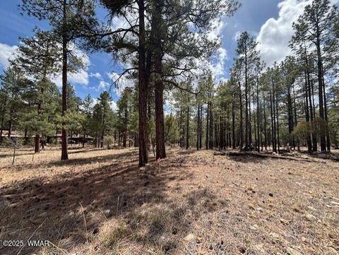 Tiny photo for 3260 W Black Oak Loop, Show Low, AZ 85901 (MLS # 255885)